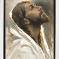 Beloved Son