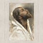 Beloved Son