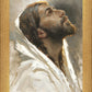 Beloved Son