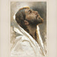 Beloved Son