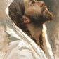 Beloved Son