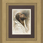 Beloved Son