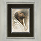 Beloved Son