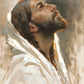 Beloved Son