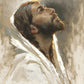 Beloved Son