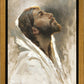 Beloved Son