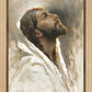 Beloved Son