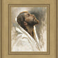 Beloved Son