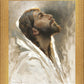 Beloved Son