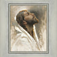 Beloved Son