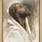 Beloved Son