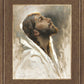 Beloved Son