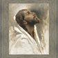 Beloved Son