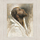 Beloved Son