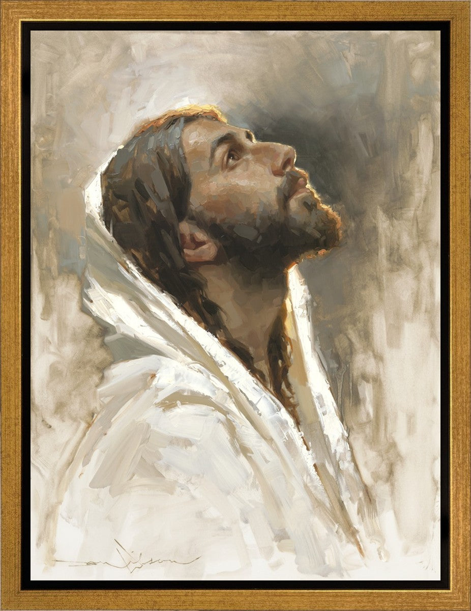 Beloved Son