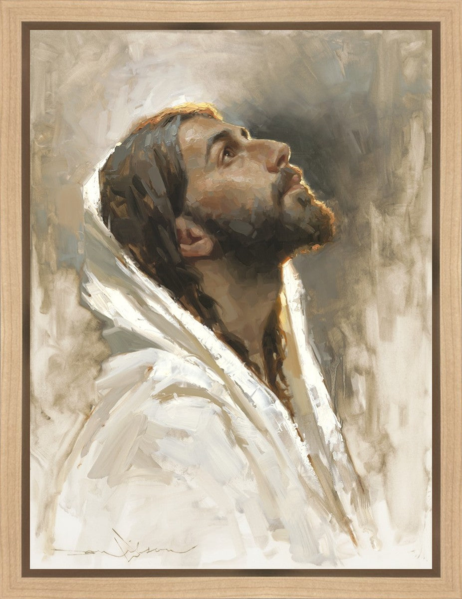 Beloved Son