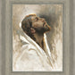 Beloved Son