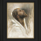 Beloved Son