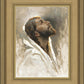 Beloved Son