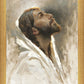 Beloved Son