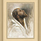 Beloved Son