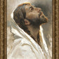 Beloved Son