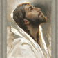 Beloved Son