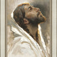 Beloved Son