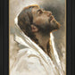 Beloved Son