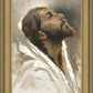 Beloved Son