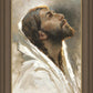 Beloved Son