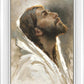 Beloved Son