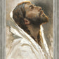 Beloved Son