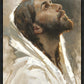 Beloved Son