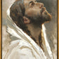Beloved Son