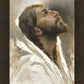 Beloved Son