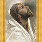 Beloved Son