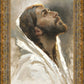 Beloved Son
