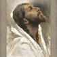 Beloved Son