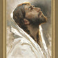 Beloved Son