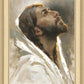 Beloved Son