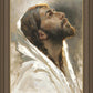 Beloved Son