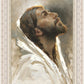 Beloved Son