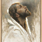 Beloved Son