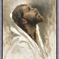 Beloved Son