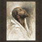 Beloved Son