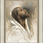 Beloved Son