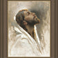 Beloved Son