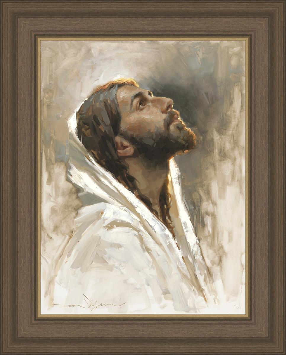 Beloved Son