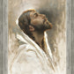 Beloved Son